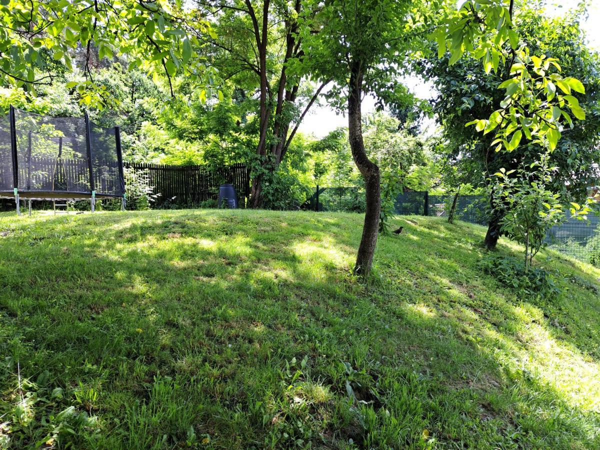 Casa De Vacanta Zsenik Vendeghaz Совата Экстерьер фото